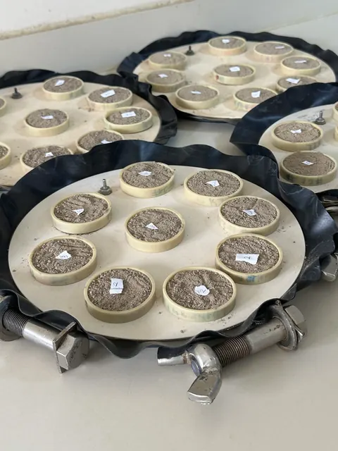Laboratory soil samples prepared in rings on circular plates